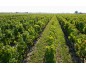 La RÉSERVE d'ANGLUDET 2016-13°5