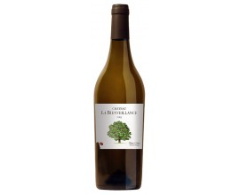 Château la BIENVEILLANCE - Vin BIO Blanc 2019-13°