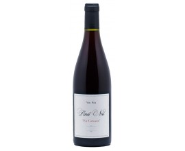 PINOT NOIR by Jeff Carrel 2021-12,5°