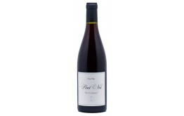 PINOT NOIR by Jeff Carrel 2021-12,5°