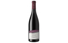 SYRAH Terroir - ARDECHE 2020-12°