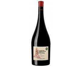 CANON DU MARECHAL Rouge - Magnum - Bio 2020-13°5