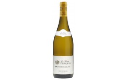 SAUVIGNON LA PETITE PERRIERE - DOMAINE SAGET 2022-12°5