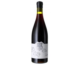 ELLE & LUI - Syrah / Gamay 2019-12°5