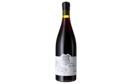 ELLE & LUI - Syrah / Gamay 2019-12°5