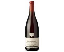 PINOT NOIR Côte Chalonnaise 2020-13°