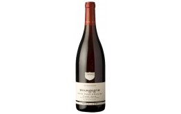 PINOT NOIR Côte Chalonnaise 2022-13°