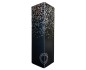 Champagne DEMOULIN FLEURY Brut ETUI -