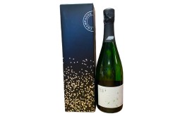 Champagne DEMOULIN FLEURY TRADITION Brut sous étui