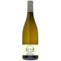 RULLY SAINT JACQUES Blanc - Antoine OLIVIER 2023-13°5