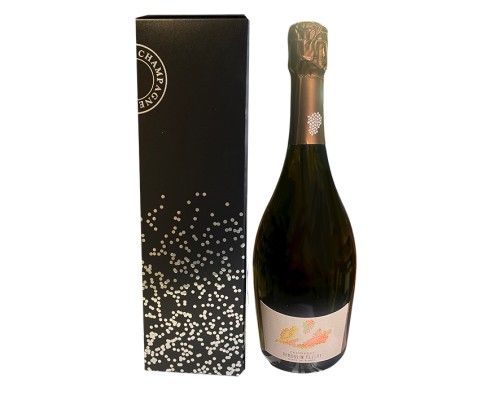 Champagne DEMOULIN FLEURY Blanc de Blancs Etui Cx 1 Bt -12°5