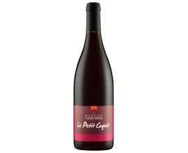 Le PETIT COQUET - Chaume-Arnaud - Bio 2019-14°