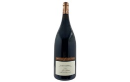SAINT JOSEPH LA SOURCE rouge - Magnum 2022-13°
