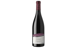 SYRAH Terroir - ARDECHE 2023-12°