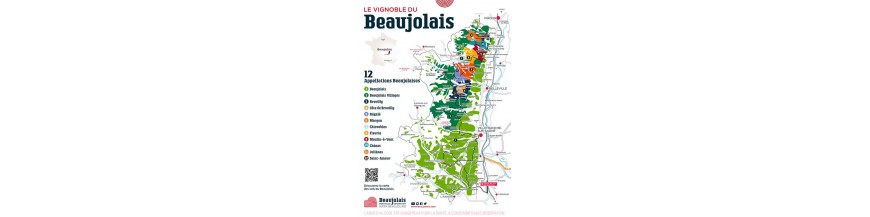 Beaujolais Village